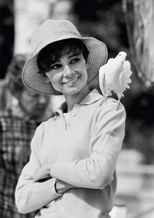 'Audrey Hepburn Dove' by Terry O'Neill