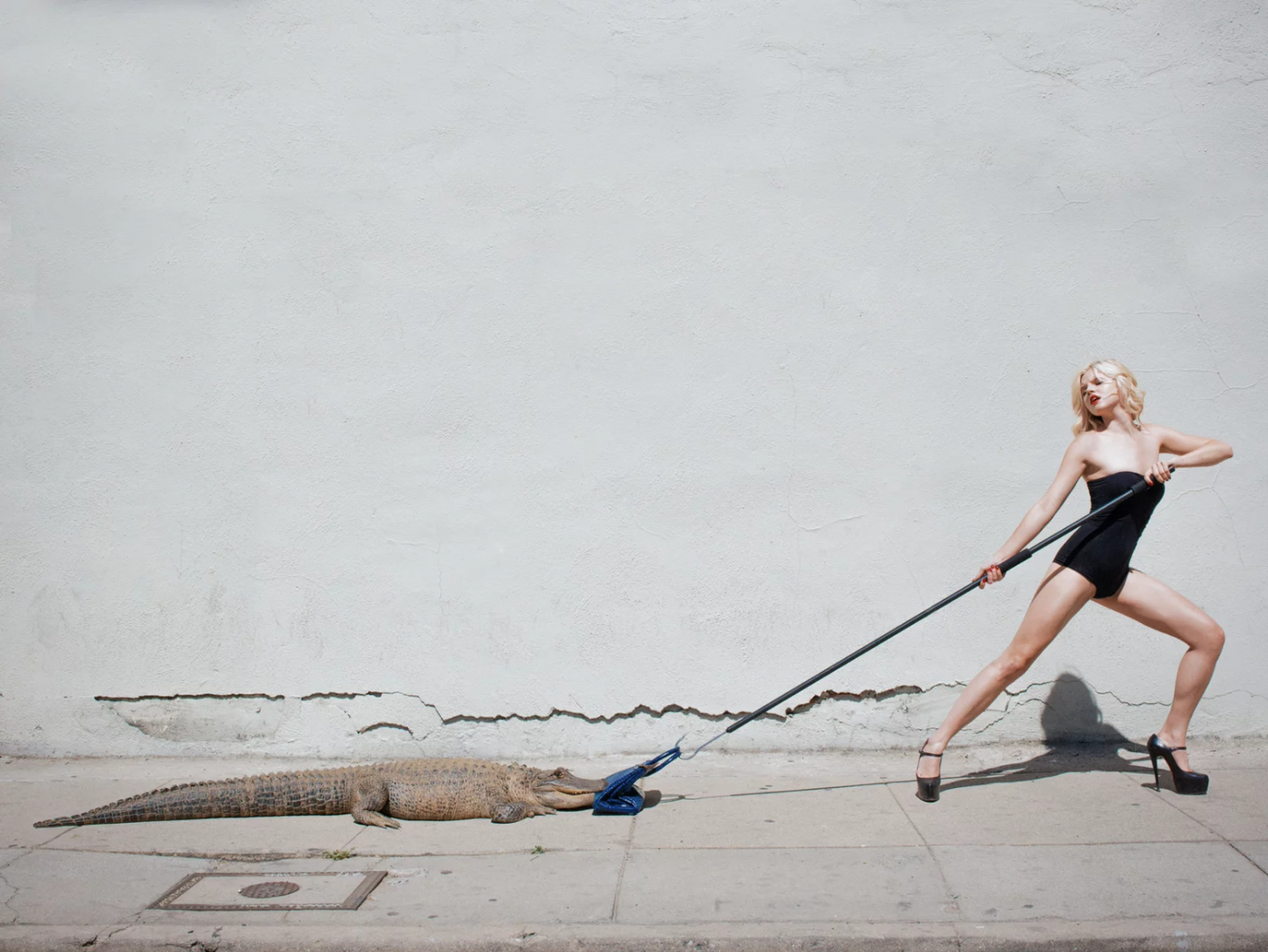 'Birkin Tug of War' by Tyler Shields